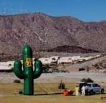 Saguaro cold-air inflatables - 25ft. tall saguaro cactus balloons
