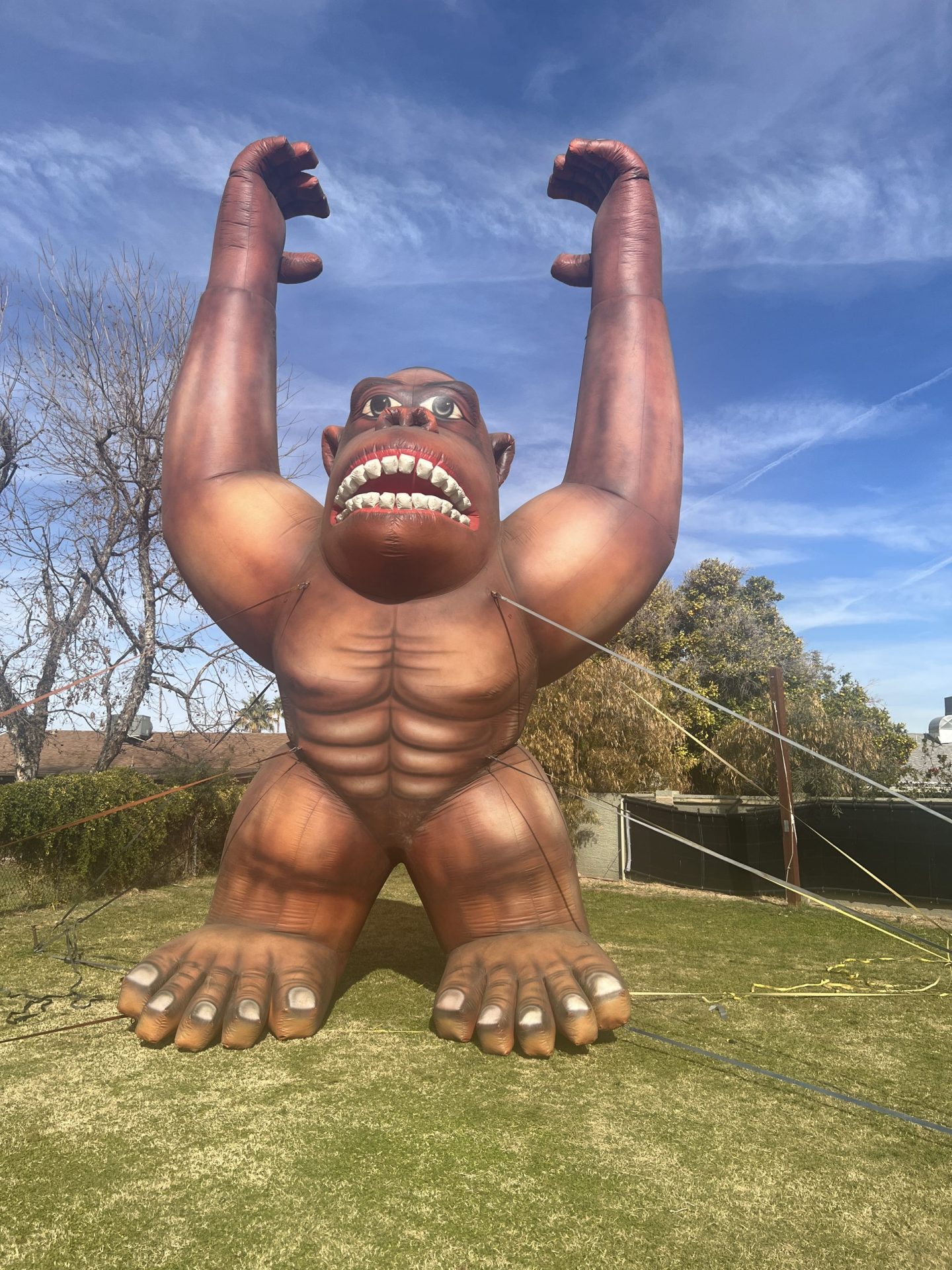 giant advertising inflatables for rent in Phoenix